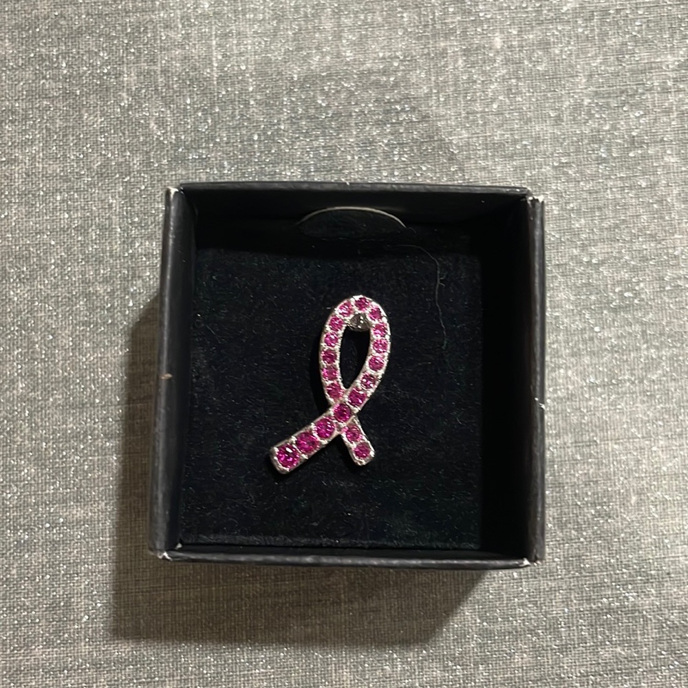 Breast Cancer Crusade Pin